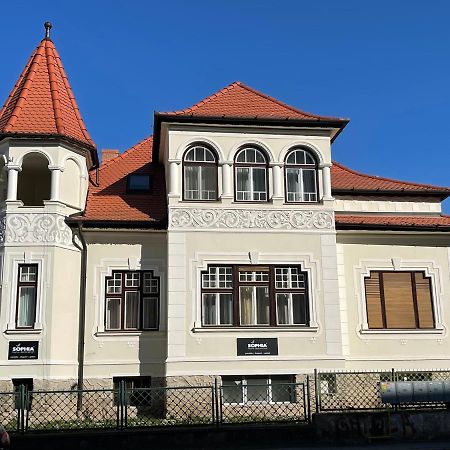 Vila Marioara Sibiu Exterior photo